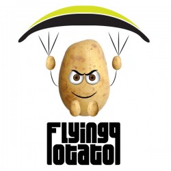 T-Shirt flying_potato